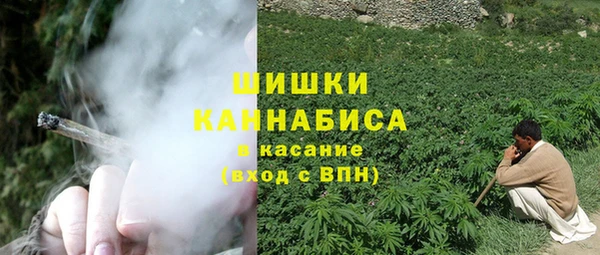 молекула духа Грязовец