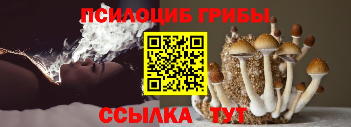 Моршанск  Галлюциногенные грибы MAGIC MUSHROOMS  Вход с VPN 
