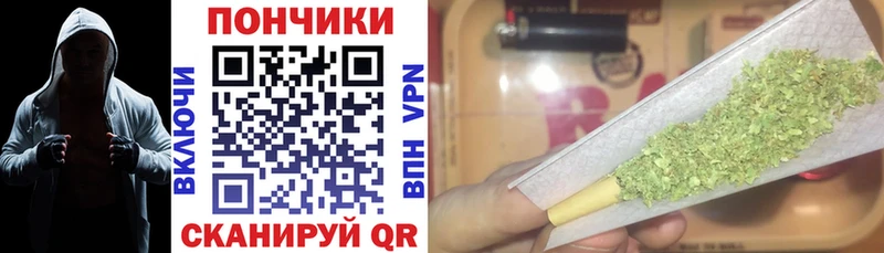 Бошки марихуана SATIVA & INDICA  цены   мориарти состав  Моршанск 